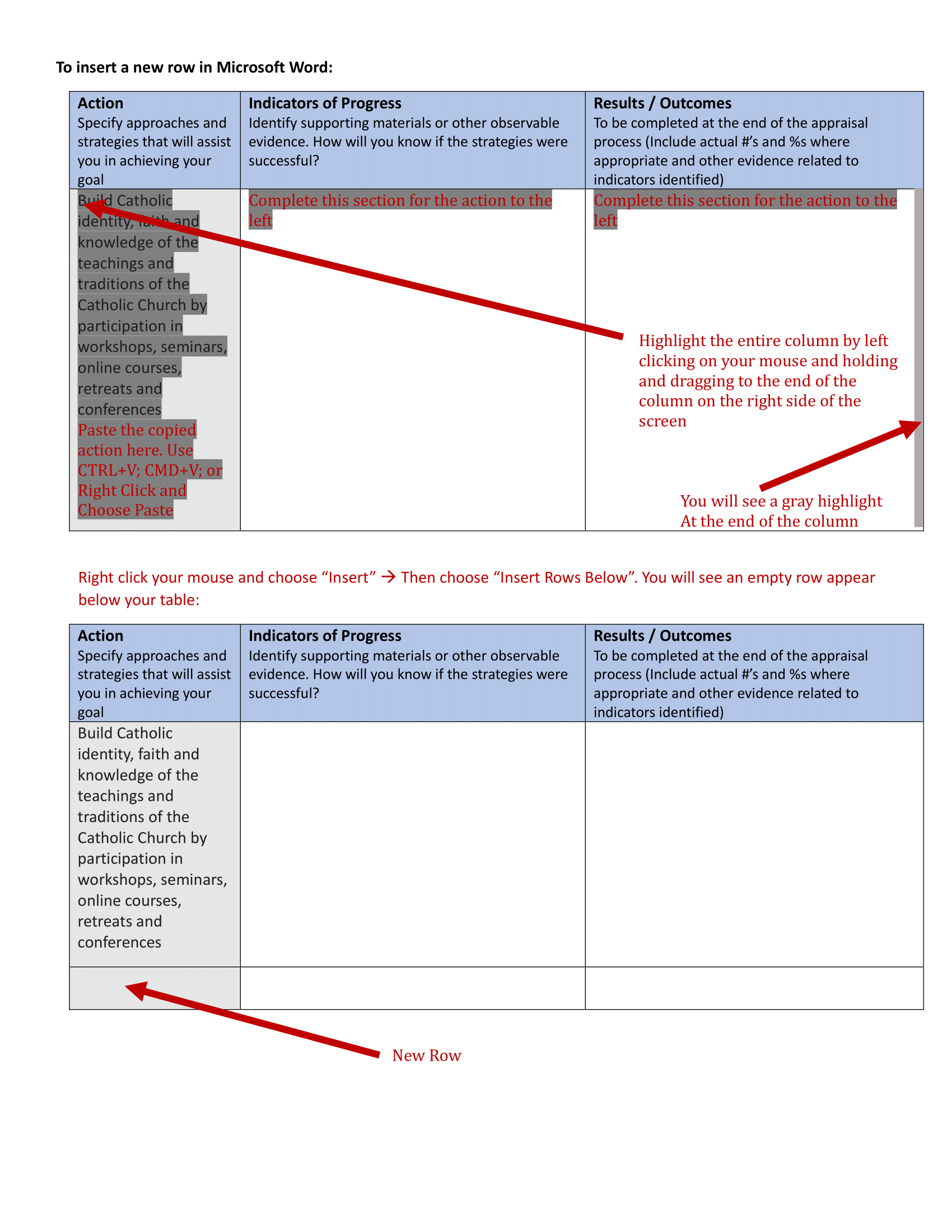 Page 9 of Catholic Director of Education Appraisal Report Instruction Guide