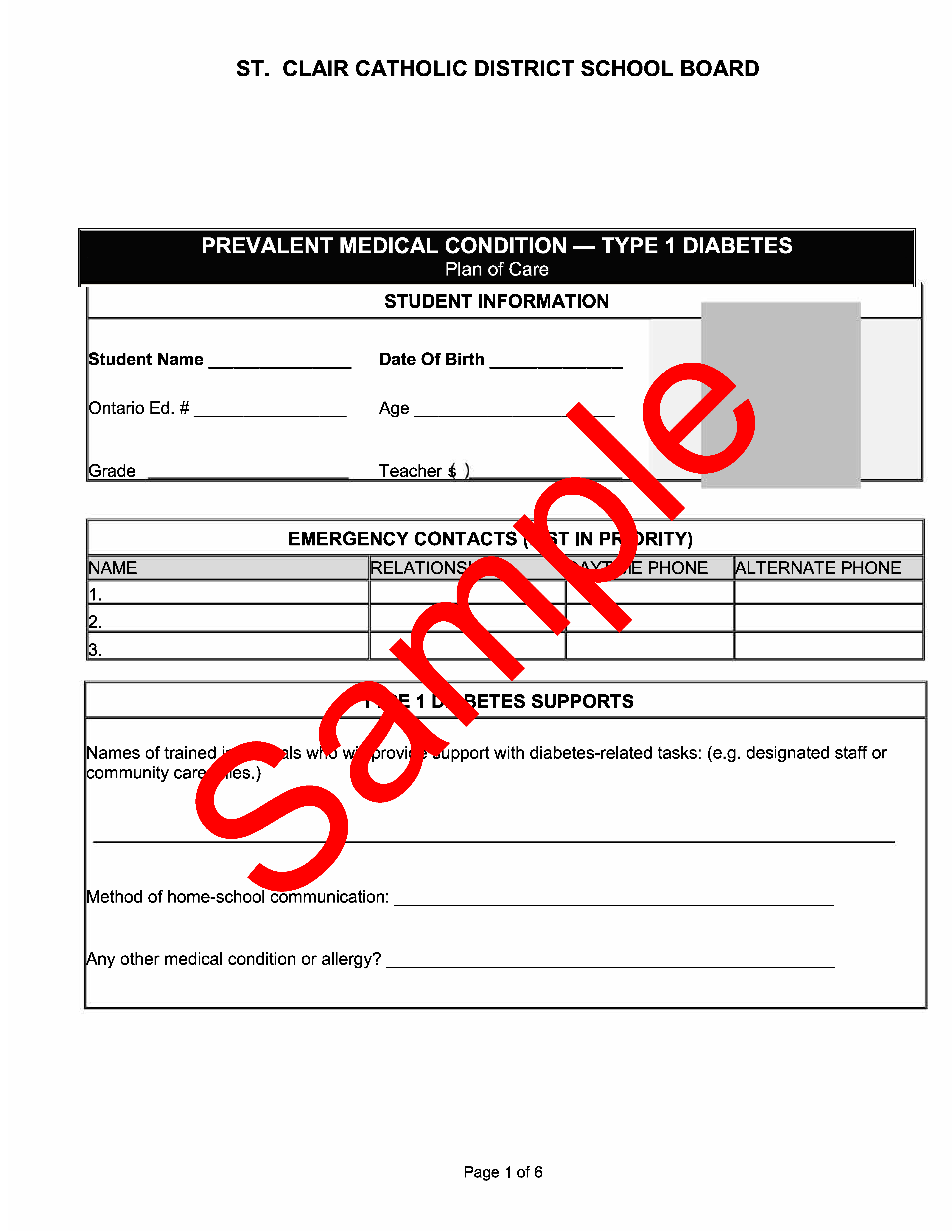 Page 1 of Sample of diabetes support plan of care form, with sample watermark